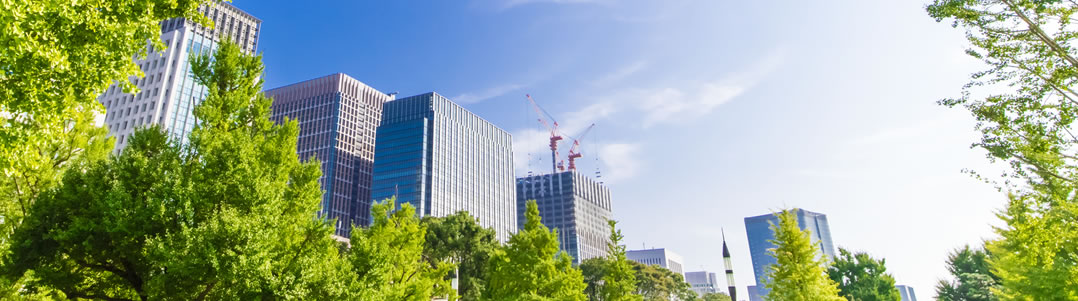 ENVIRONMENT - 環境