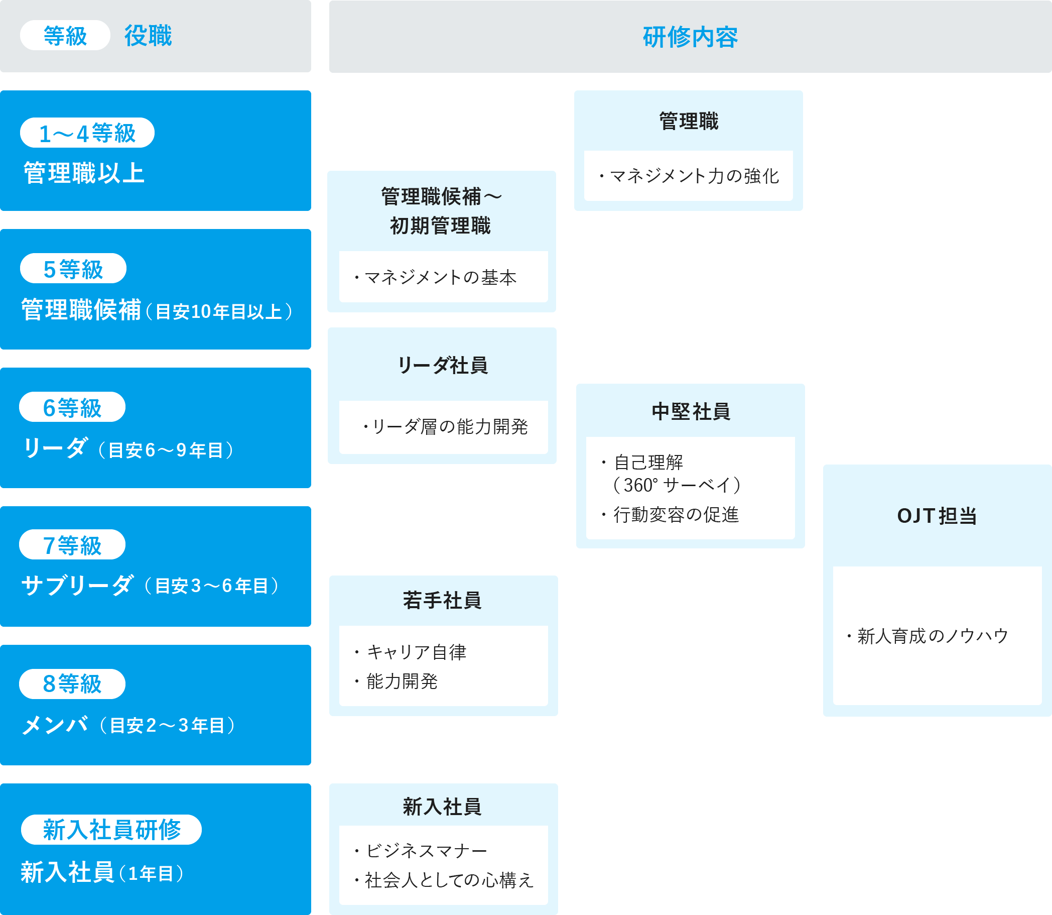 階層別研修