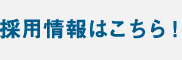 採用情報はこちら！